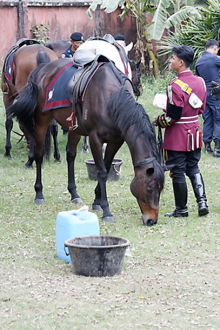Muang Boran-2008-087